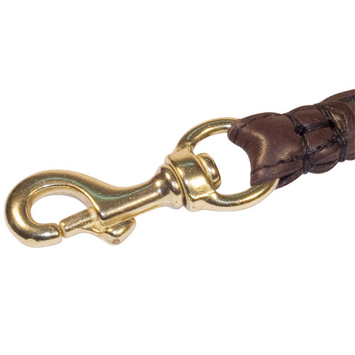 brown dog leash round ear snap hook close up l30