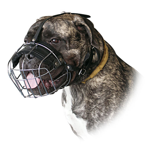 Metal Basket Dog Muzzle for Easy Breathing and Drinking Water