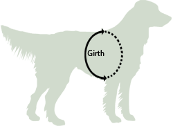 dog harness sizing - h18