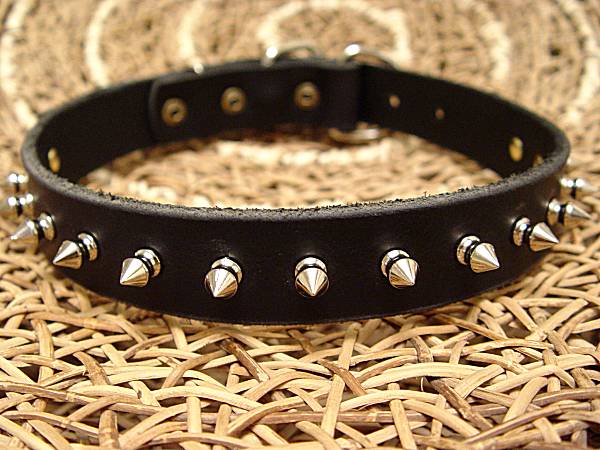 leather-spiked-dog-collar-2_LRG.jpg