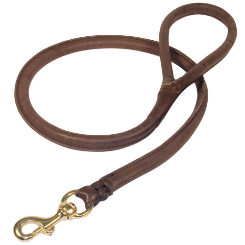 brown leather leash - round leather - take your dog to the dog show