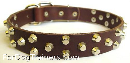 Cool leather dog collar