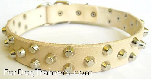 Leather collar in Tan color