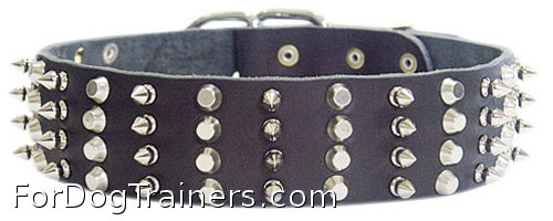 wide dog collar with 4
rows of pyramids/studds