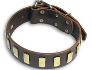 dog collar
