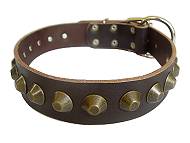 Gorgeous Wide Leather Dog Collar - Fashion Exclusive Design - c74_2 Gorgeous Wide Leather Dog Collar - Fashion Exclusive Design - c74_2