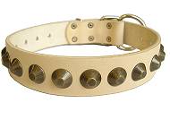 Gorgeous Wide Leather Dog Collar - Fashion Exclusive Design - c74 Gorgeous Wide Leather Dog Collar - Fashion Exclusive Design - c74