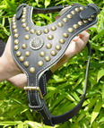 Royal Dog Harness - Exclusive Design Studded Leather Harness - product code H11