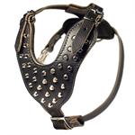 Pyramids Studded leather dog harness- H16