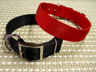 Nylon Dog Collar - 2 Ply Nylon, Nickel Plated Buckle and D-ring, very Wide