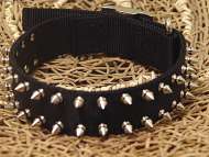 Black Nylon Spiked Dog Collar - SN33