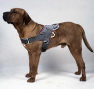 *All Weather Extra Strong Nylon Harness - H6
