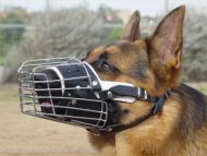 Basket wire dog muzzle and most popular leather leash Free shipping deal - M4+L1freeshipping Basket wire dog muzzle and most popular leather leash Free shipping deal - M4+L1freeshipping
