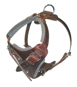 Dog Harness