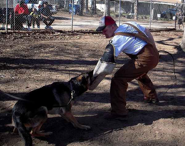 Training dog bite sleeve