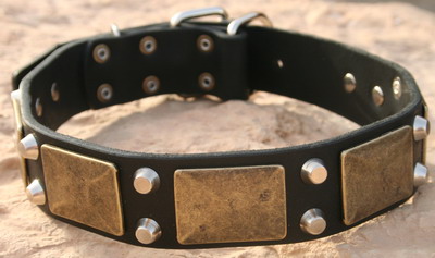 dog collar