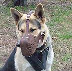 Leather dog muzzle for German Shepherd