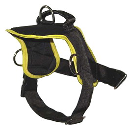 dog harness