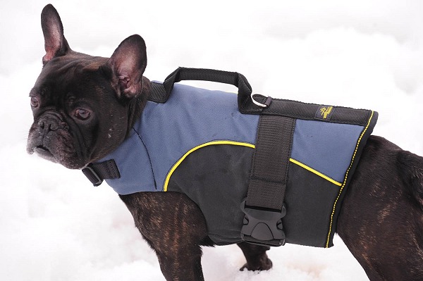 dog harness for tracking
