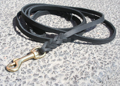 dog leash