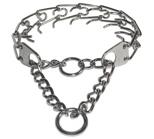Cane Corso dog collar