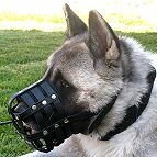 Akita leather basket dog muzzle