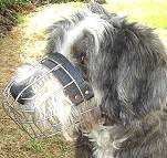 Wire Basket Training Dog Muzzles