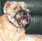 Wire Basket Dog Muzzles