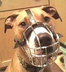 Wire Cage Dog Muzzles