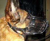 German-Shepherd dog wire muzzle with adjustable straps