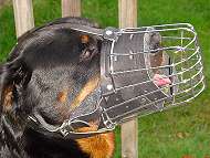 Rottweiler Wire Cage Dog Muzzle Nose Padded