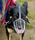 German Shepherd Wire Basket Dog Muzzles