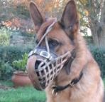 dog muzzle