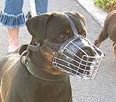 Dog Muzzle Light For Rottweiler