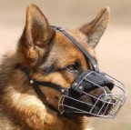 basket wire dog muzzle