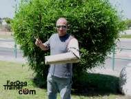 Dog bite sleeve - dog bite arm