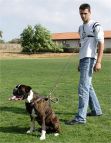 Dog leash
