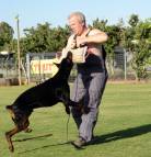 Dog bite pad made of jute with 3 handles