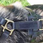 German Shepherd Walking and Tracking Leather Dog Harness