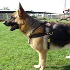 Tracking / Pulling / Agitation Leather Dog Harness For German Shepherd Dog
