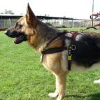 German Shepherd Leather Dog Harness for Training