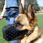 Leather dog muzzle 