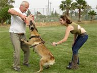 Dog bite pad made of jute with 3 handles