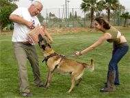 Dog bite pad made of jute with 3 handles