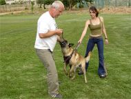 small jute dog bite tug dog bite tag with handle