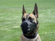 Leather dog muzzle perfect for Malinois M31