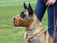 Luxury handcrafted leather dog harness made To Fit Malinois H7