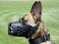 Leather dog muzzle for Malinois