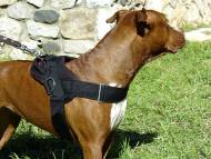 Nylon multi-purpose dog harness for tracking / pulling with extra handle.This harness is widely used by Pitbull owners