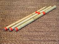 Schutzhund agitation stick